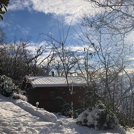 Ferienwohnung Rifugio Nel Bosco Astano Exterior foto