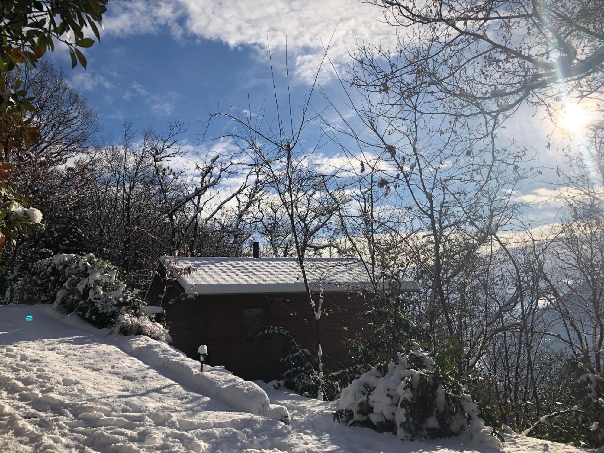 Ferienwohnung Rifugio Nel Bosco Astano Exterior foto