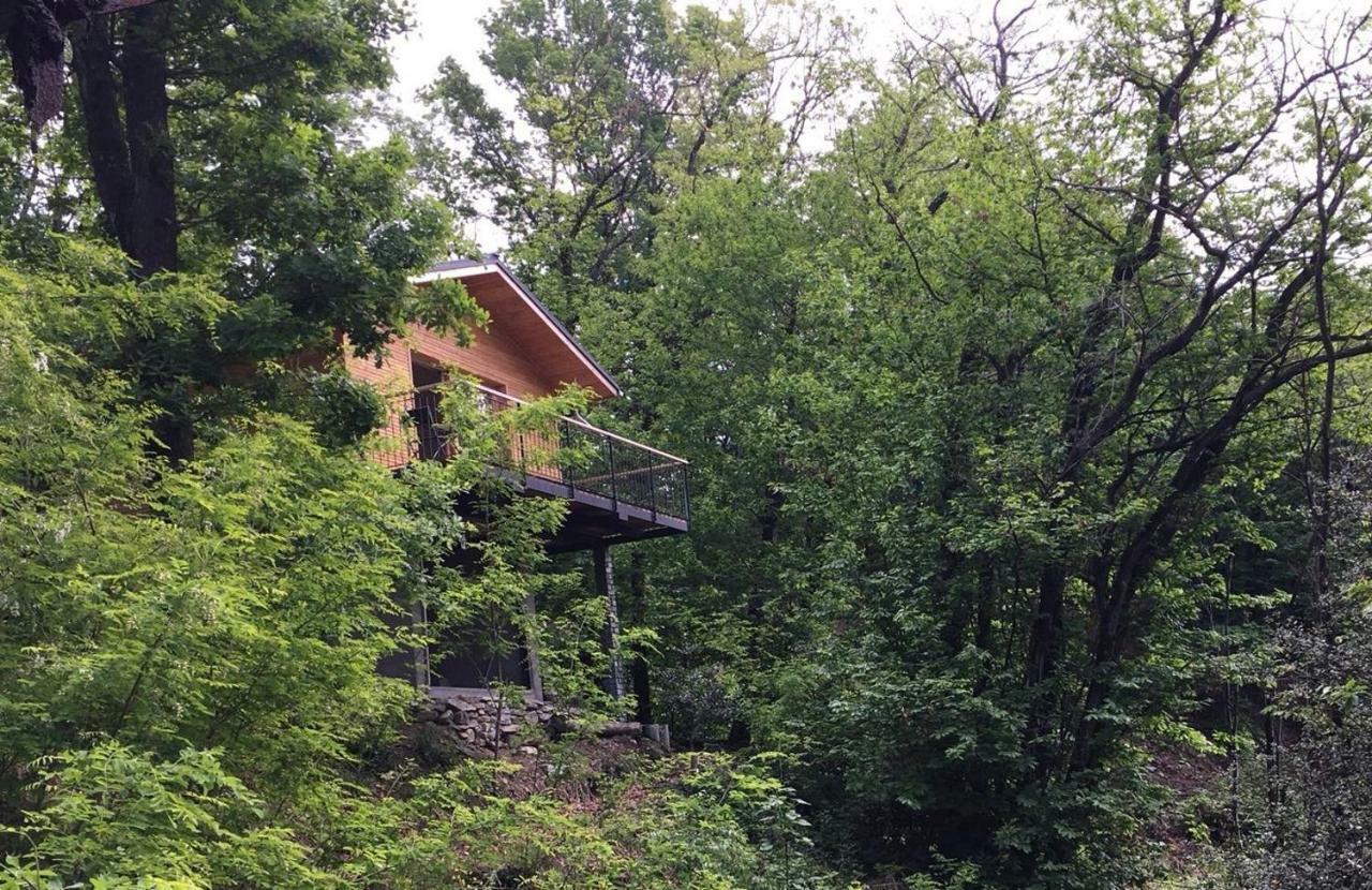 "La Romantica" Rifugio Nel Bosco Astano Exterior foto