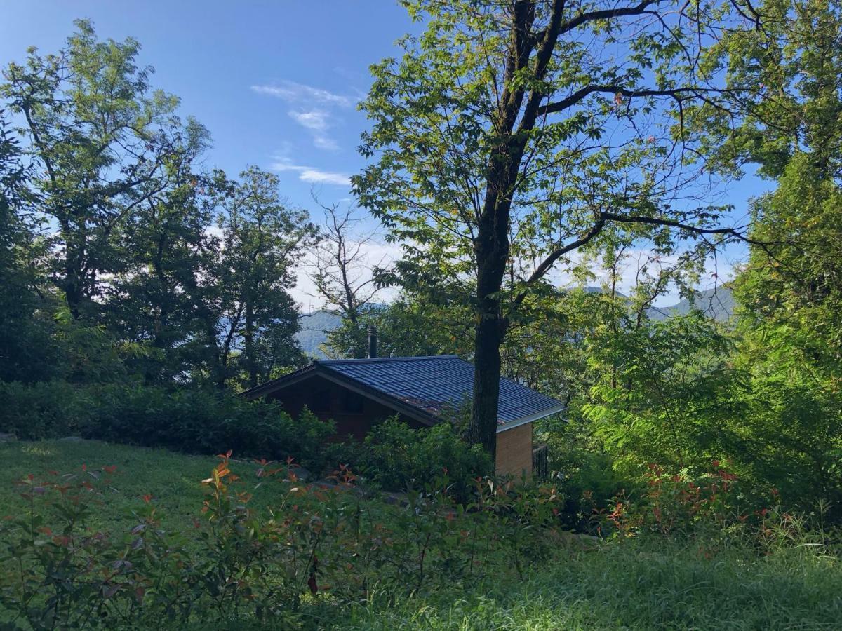 Ferienwohnung Rifugio Nel Bosco Astano Exterior foto