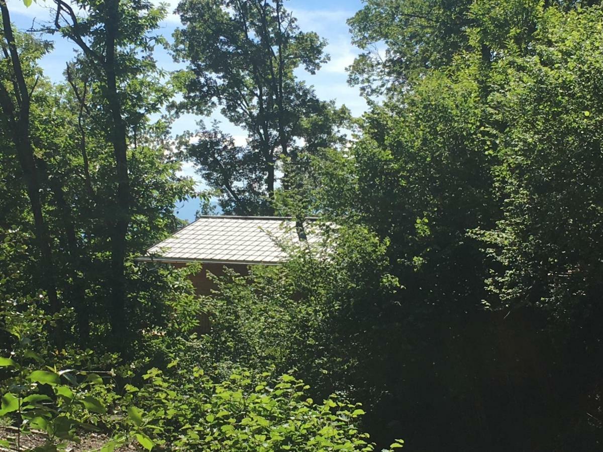 Ferienwohnung Rifugio Nel Bosco Astano Exterior foto